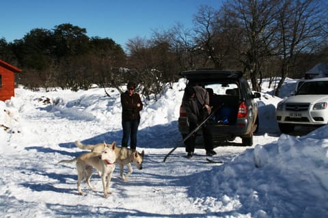 People, Winter, Pets