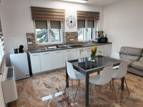 Kitchen or kitchenette, Living room, Seating area, Dining area, stove
