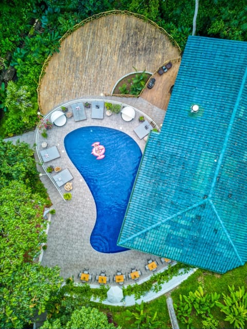 Bird's eye view, Pool view, Swimming pool