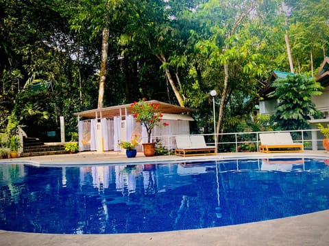 Garden, Garden view, Pool view, Swimming pool