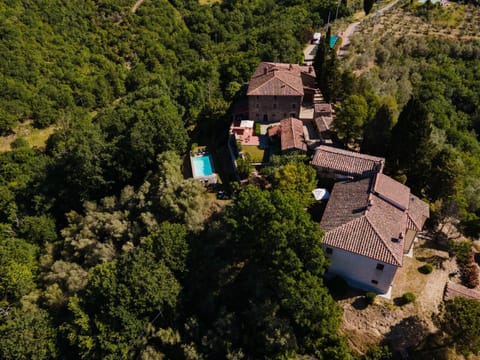 Bird's eye view, Swimming pool