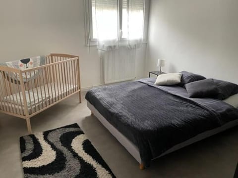 Appartement rénové et douillet Apartment in Nancy