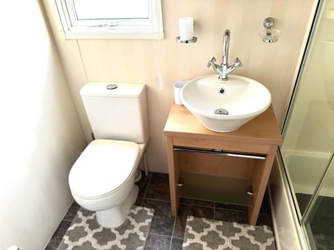 Toilet, Bathroom, Decorative detail, storage