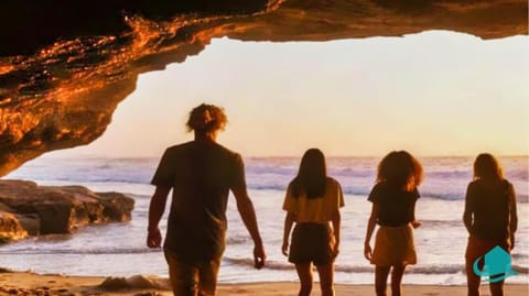 Day, People, Natural landscape, Beach, group of guests, Family