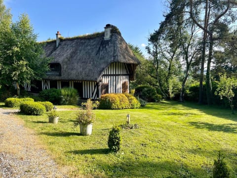 Property building, Garden, Garden, Garden view