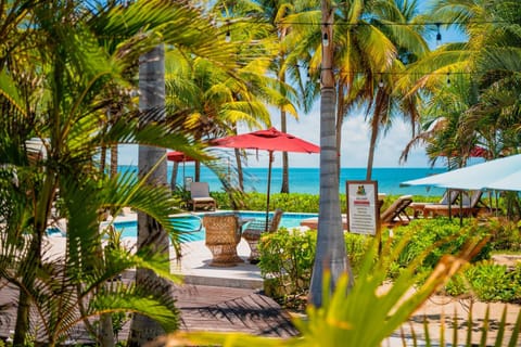 View (from property/room)