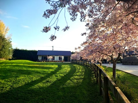 Spring, Day, Natural landscape, Garden, Garden view