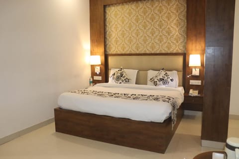 HOTEL DV PLAZA INN Hotel in New Delhi