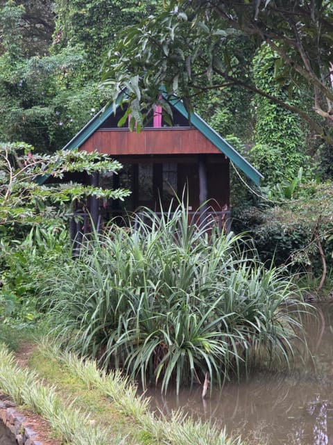 Sinharaja Forest Edge Bed and Breakfast in Southern Province