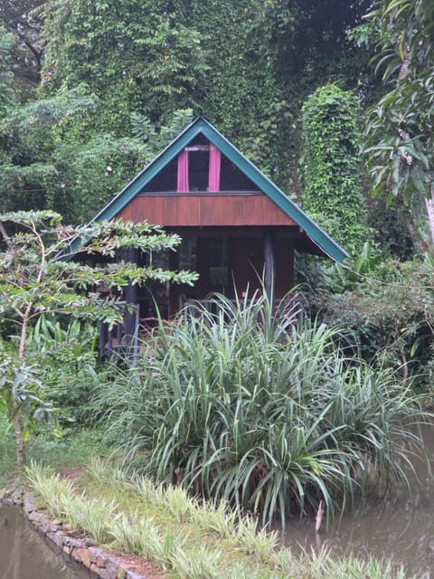 Sinharaja Forest Edge Bed and Breakfast in Southern Province