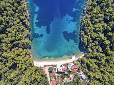 Natural landscape, Bird's eye view, Beach