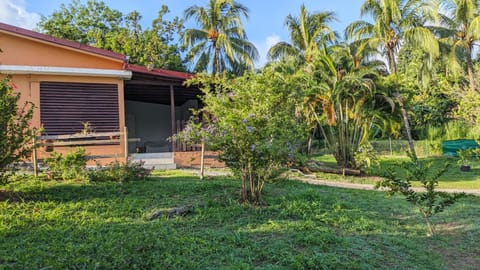 Property building, Natural landscape, Garden