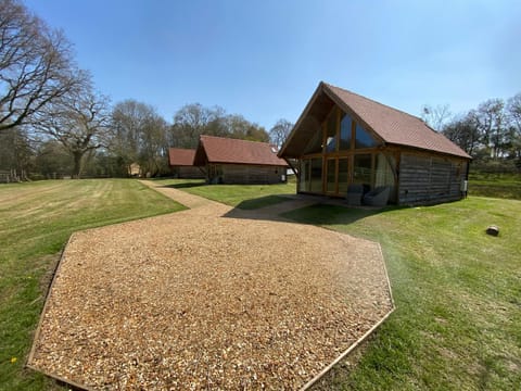 Nettlebed Farm Holiday Lets Barn3 House in Eastleigh District