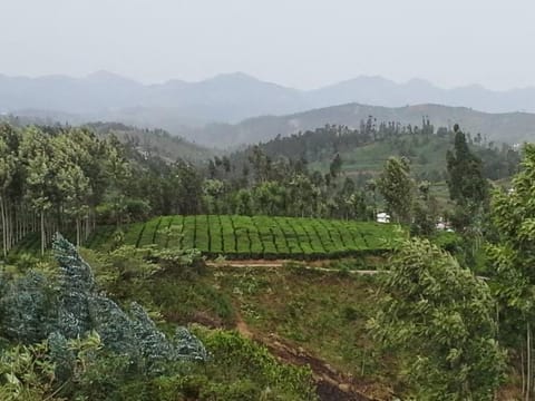 Mountain Top Holidays Home, Ooty House in Kerala