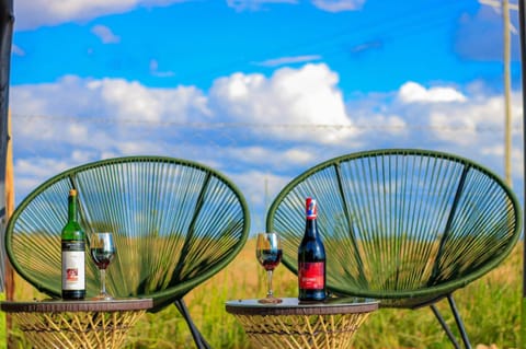 Day, Natural landscape, Drinks