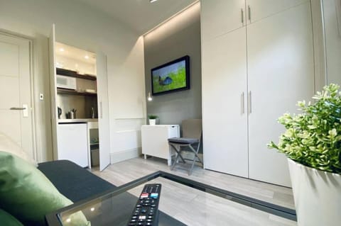 TV and multimedia, Kitchen or kitchenette, Living room, Seating area, minibar, wardrobe