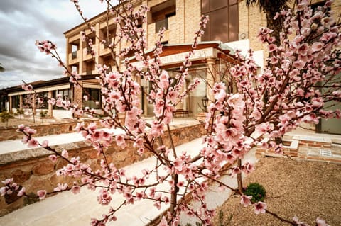 Property building, Spring, Garden, Garden view