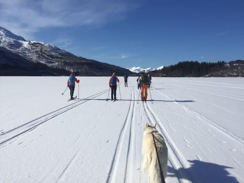 Bestemors hus ca 3mil utenfor Sortland Sent House in Nordland, Norway