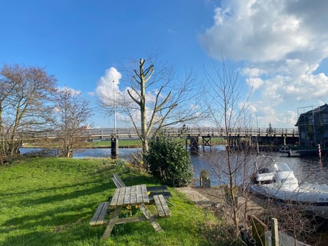 Spring, Day, Natural landscape, Garden, River view