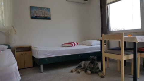 Apartment Viktor Appartement in Zadar County