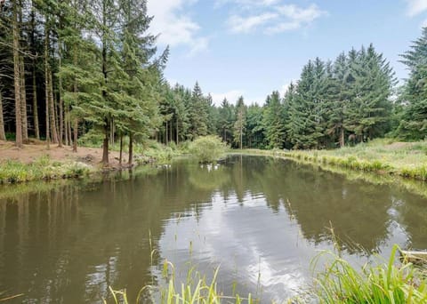 Natural landscape, Lake view, River view