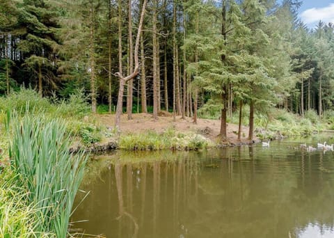 Nearby landmark, Day, Natural landscape, Lake view