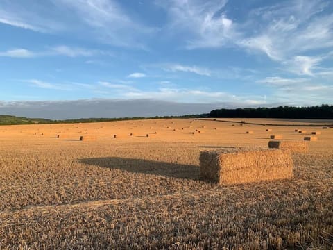 The Little Orchard House in South Oxfordshire District