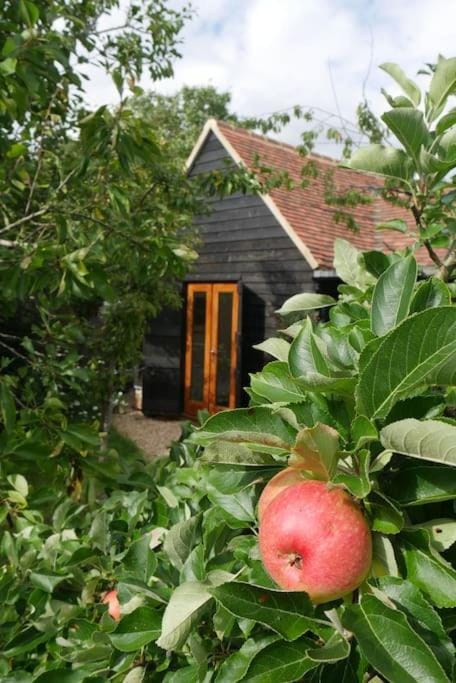 The Little Orchard House in South Oxfordshire District