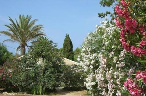 Schöner zentraler Bungalow direkt am Sandstrand auf Sizilien - b51537 House in Marina di Modica