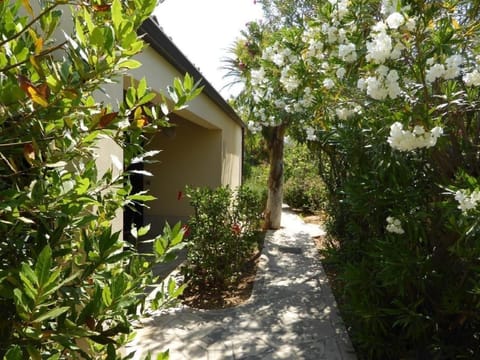 Schöner zentraler Bungalow direkt am Sandstrand auf Sizilien - b51540 House in Marina di Modica