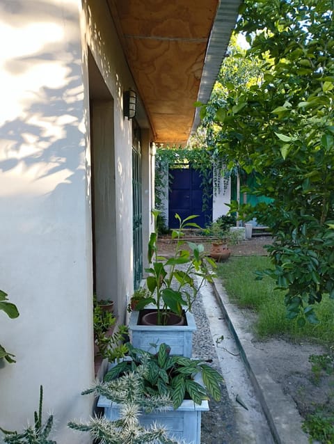 Inner courtyard view