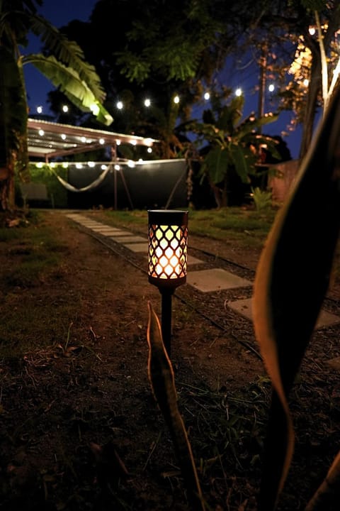 Night, Garden view