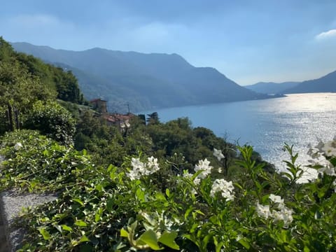 Apartment Casa Dono Il lago Apartment in Canton of Ticino