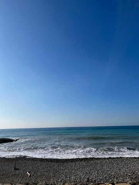 Natural landscape, Beach, Sea view