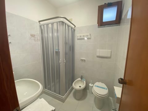 Shower, Toilet, bidet, towels