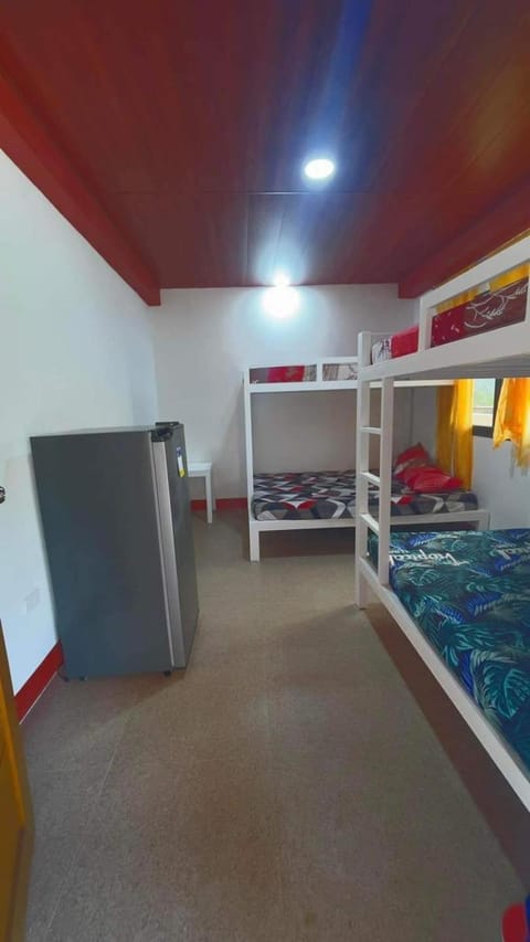 Bed, Photo of the whole room, Bedroom, bunk bed