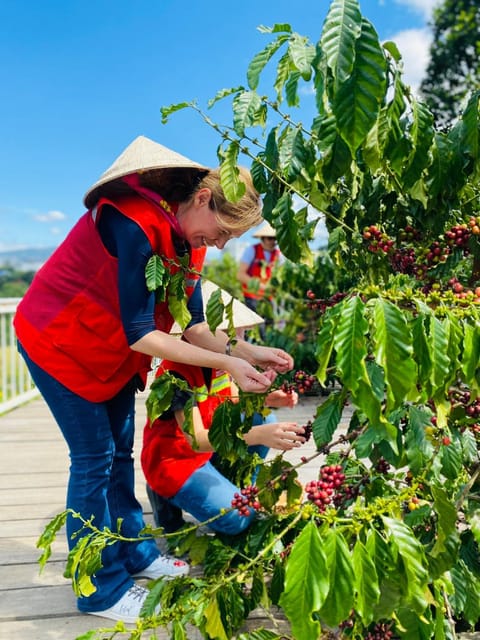 Tám Trình Coffee Farm Farm Stay in Dalat