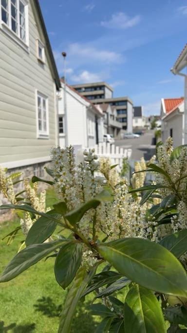 Spring, Day, Garden, Garden