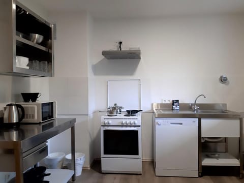 Kitchen or kitchenette, dishwasher, minibar, pet friendly, stove