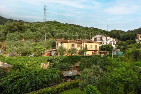 Property building, Natural landscape
