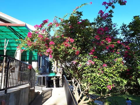 Patio, Garden