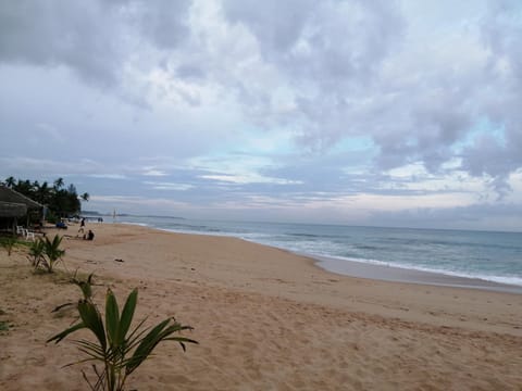 Beach Lagoon Guesthouse Bed and Breakfast in Tangalle