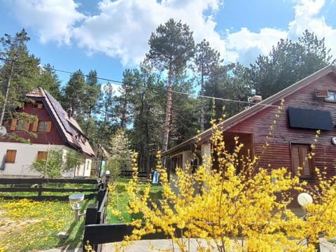 Abgeschiedene Berghütte, von Pinienwald umgeben House in Plitvice Lakes Park