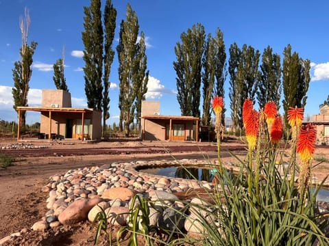 Property building, Spring, Day, Natural landscape, Garden, Garden view