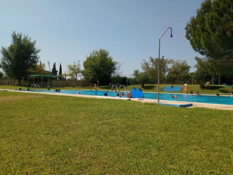 Summer, Garden, Swimming pool