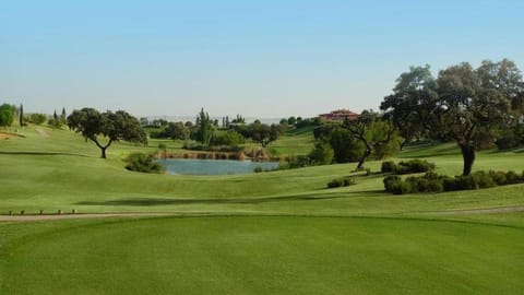 Natural landscape, Golfcourse, Entertainment