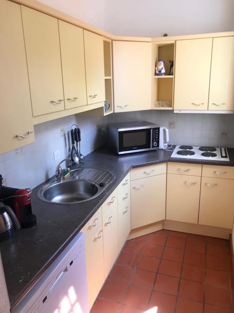 Kitchen or kitchenette, dishwasher, minibar, pet friendly, stove