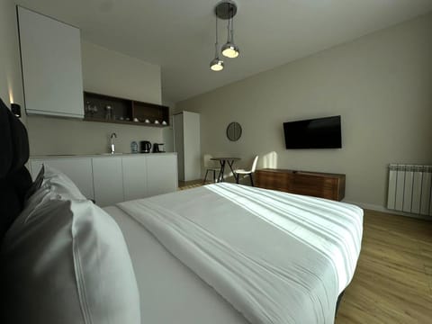 Bed, TV and multimedia, Kitchen or kitchenette, Photo of the whole room, Seating area, Bedroom