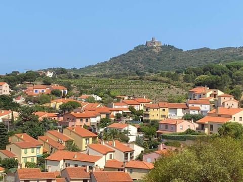 Collioure, le village préféré des Français Apartment in Collioure