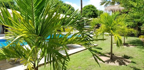 Garden, Pool view